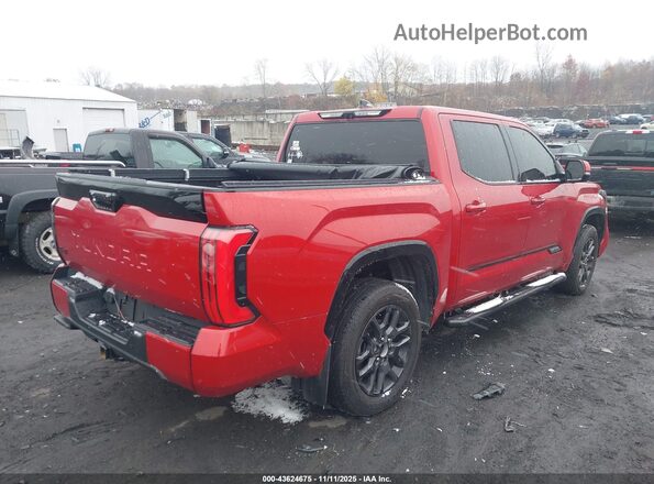 5TFNC5DB3PX036529 2023 TOYOTA TUNDRA HYBRID Красный Задняя правая четверть