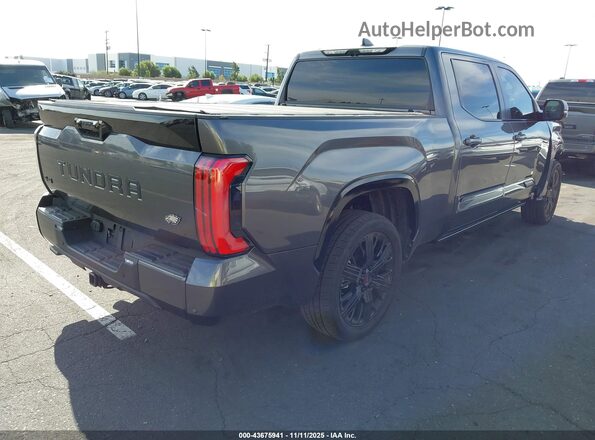 5TFNC5EC4RX007597 2024 TOYOTA TUNDRA HYBRID Серый Задняя правая четверть
