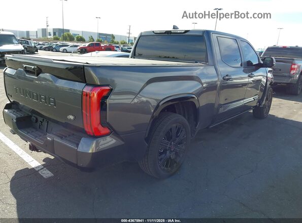 5TFNC5EC4RX007597 2024 TOYOTA TUNDRA HYBRID Серый Панорамный вид салона 360°