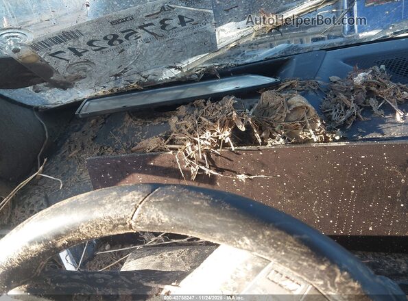 5UX23EM04P9P25435 2023 BMW X7 Черный Вид задних сидений