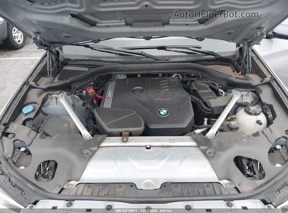 5UX33DT06N9M40667 2022 BMW X4 Серый Вид сзади
