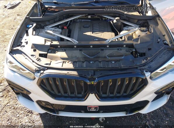 5UXCY6C09P9N44697 2023 BMW X6 White Widok z tyłu