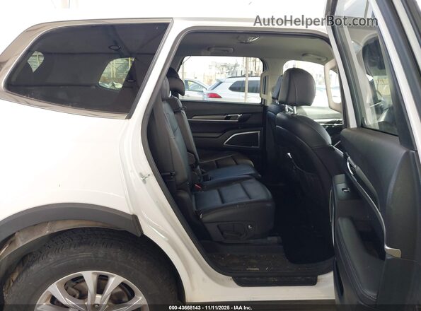 5XYP2DHC3MG169976 2021 KIA TELLURIDE Белый Вид наклейки с VIN-кодом