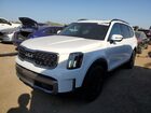 2023 Kia Telluride Ex White vin: 5XYP3DGC4PG354668
