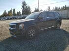 2020 Kia Telluride Ex Black vin: 5XYP3DHC0LG013602