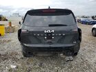 2024 Kia Telluride Sx Black vin: 5XYP5DGC2RG475356