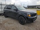 2024 Kia Telluride Sx Black vin: 5XYP5DGC2RG475356