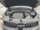 2024 Kia Telluride Sx Black vin: 5XYP5DGC2RG475356