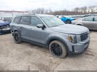 2022 Kia Telluride Sx Blue vin: 5XYP5DHC3NG211300