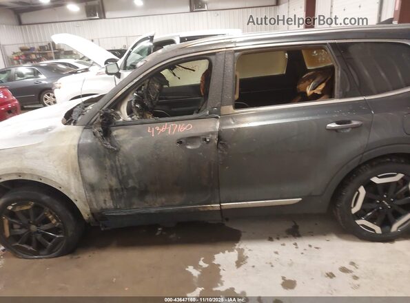 5XYP6DGC0RG520064 2024 KIA TELLURIDE Gray Панорамний вид салону 360°