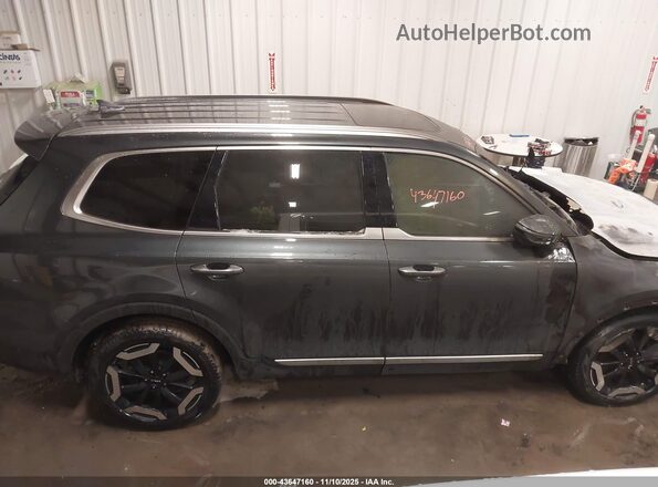 5XYP6DGC0RG520064 2024 KIA TELLURIDE Gray Вид задньої частини салону