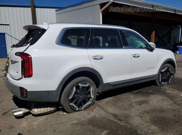 5XYP6DGC3RG486539 2024 KIA TELLURIDE Белый Задняя правая четверть