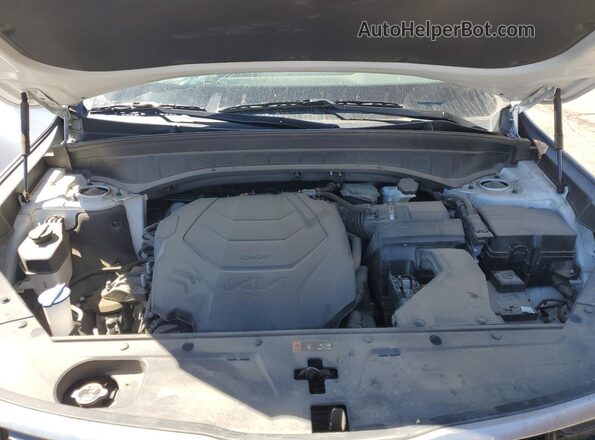 5XYP6DGC3RG486539 2024 KIA TELLURIDE Белый Вид задней части салона