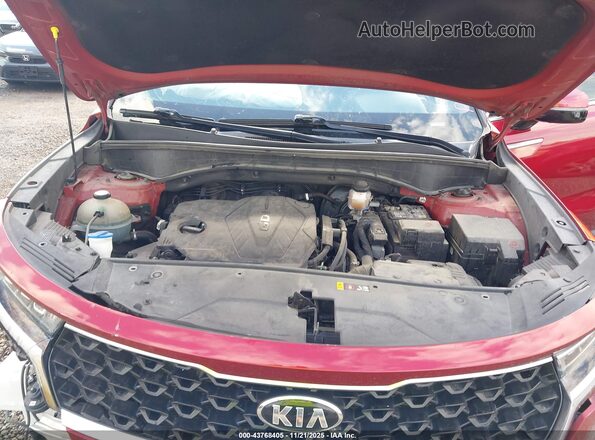 5XYRG4LC9MG001616 2021 KIA SORENTO Красный Вид сзади