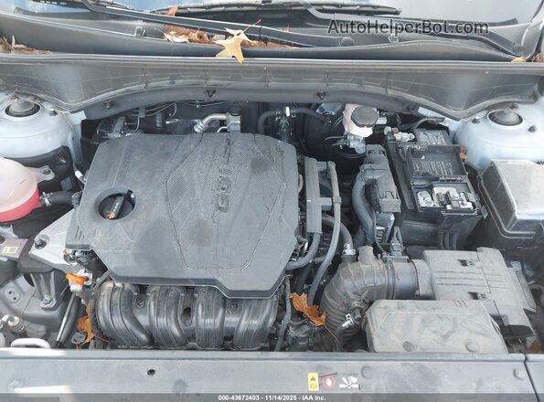 5XYRL4JC1RG296443 2024 KIA SORENTO Серый Вид сзади