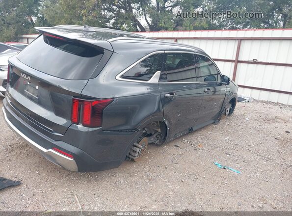 5XYRL4JC8RG301556 2024 KIA SORENTO Gray Tył prawy