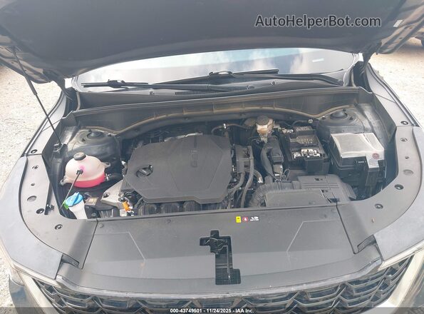 5XYRL4JC8RG301556 2024 KIA SORENTO Gray Widok z tyłu