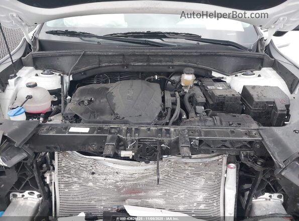 5XYRLDJC4RG287476 2024 KIA SORENTO White Vista trasera