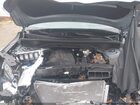 2024 Kia Sorento S Blue vin: 5XYRLDJC6RG273689