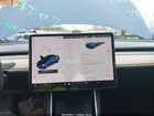 2020 Tesla Model 3 Standard Range Plus Rear-wheel Drive/standard Range Rear-wheel Drive Синий vin: 5YJ3E1EA3LF740749 2020 Tesla Model 3 Standard Range Plus Rear-wheel Drive/standard Range Rear-wheel Drive Синий vin: 5YJ3E1EA3LF740749