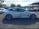 2020 Tesla Model 3 Standard Range Plus Rear-wheel Drive/standard Range Rear-wheel Drive White vin: 5YJ3E1EA6LF661687