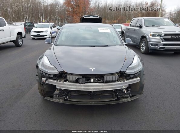 5YJ3E1EB0LF744234 2020 TESLA MODEL 3 Серый Вид задней части салона