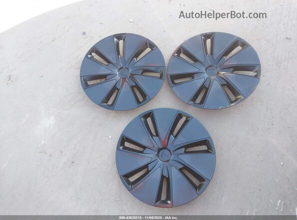 5YJ3E1EB6RF728869 2024 TESLA MODEL 3 Gray Widok deski rozdzielczej