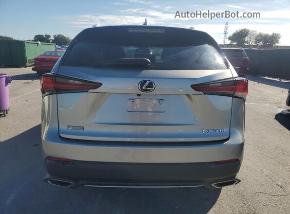 JTJSARBZ5M2192836 2021 LEXUS NX Silver Սալոնի դիմացի տեսք
