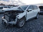2023 Honda Cr-v Exl White vin: 7FARS3H78PE007623