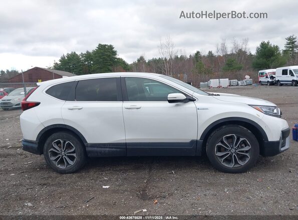 7FART6H56ME027779 2021 HONDA CR-V HYBRID Белый Вид задней части салона