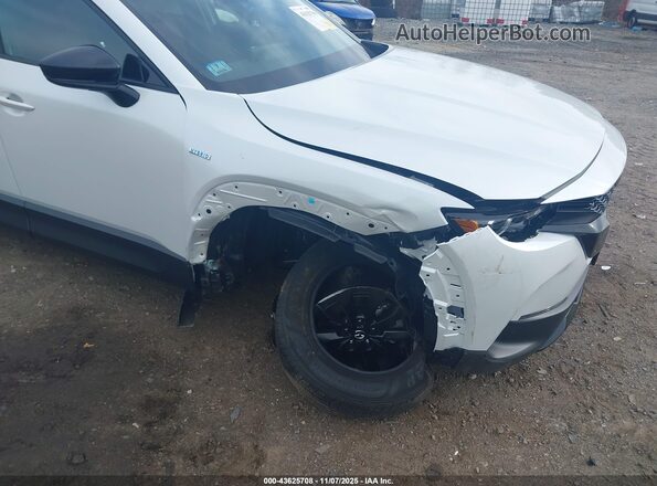 7MMVAADW8SN127012 2025 MAZDA CX-50 HYBRID Белый Вид спереди