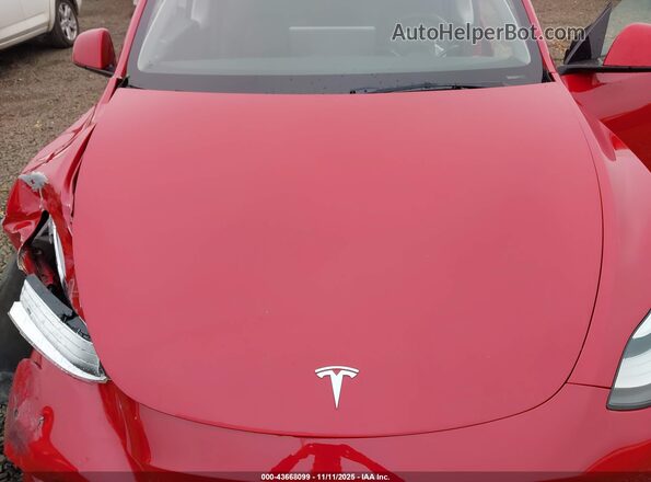 7SAYGDEE3NF461831 2022 TESLA MODEL Y Red Widok z tyłu