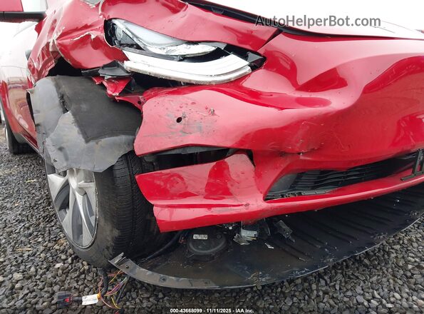 7SAYGDEE3NF461831 2022 TESLA MODEL Y Red 