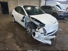 2023 Tesla Model Y   White vin: 7SAYGDEE3PF792413