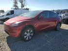 2024 Tesla Model Y Red vin: 7SAYGDEE4RF067972