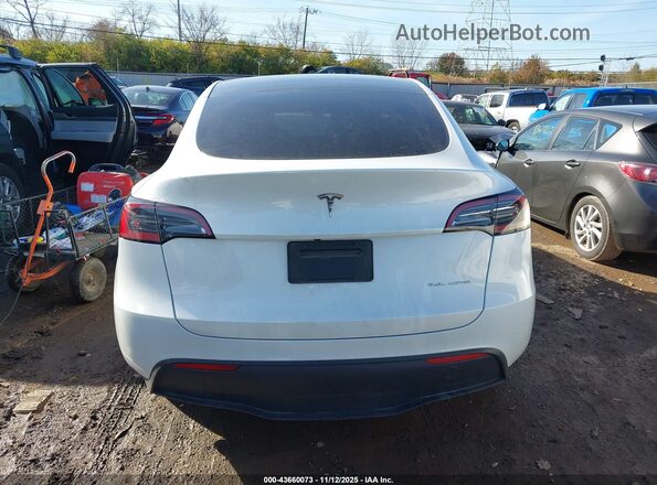 7SAYGDEE6PF683699 2023 TESLA MODEL Y White 