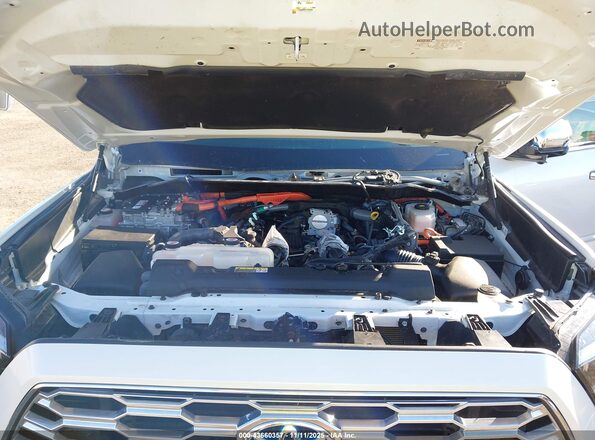 7SVAAABA2RX042516 2024 TOYOTA SEQUOIA Белый Вид сзади