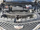 2021 Cadillac Escalade Esv Premium Luxury Черный vin: 1GYS3KKL5MR386798