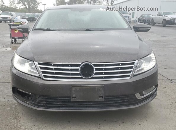 WVWKP7AN1HE501260 2017 VOLKSWAGEN CC Коричневый Вид сзади
