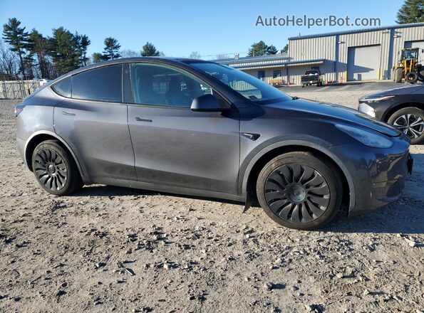 5YJYGDEE6MF184331 2021 TESLA MODEL Gray Widok z przodu