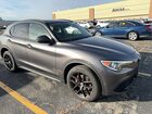 2019 Alfa Romeo Stelvio Gray vin: ZASPAKAN5K7C65788