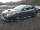 2024 Subaru Wrx Premium Gray vin: JF1VBAH64R9819090