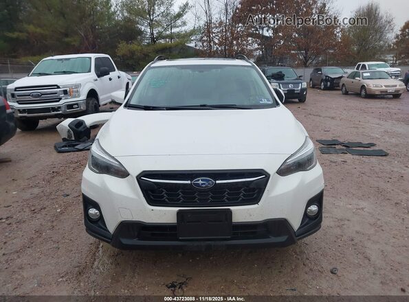 JF2GTAMC0K8255558 2019 SUBARU CROSSTREK Белый Вид задней части салона