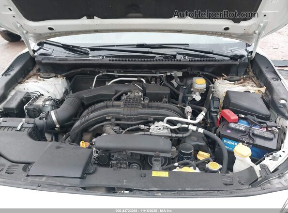 JF2GTAMC0K8255558 2019 SUBARU CROSSTREK Белый Вид сзади