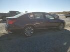 2016 Acura Rlx Advance Бордовый vin: JH4KC1F91GC001371