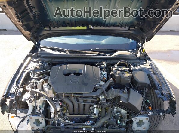 JM1BPALM3R1656371 2024 MAZDA 3 Синий Вид сзади