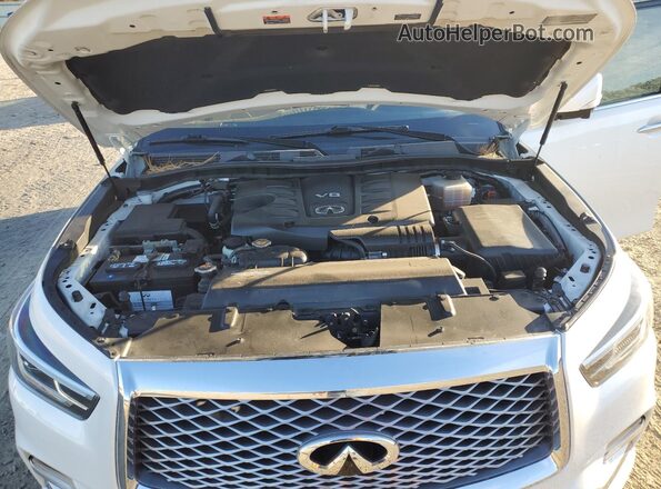 JN8AZ2AF3M9718320 2021 INFINITI QX80 White Vista del compartimento del motor