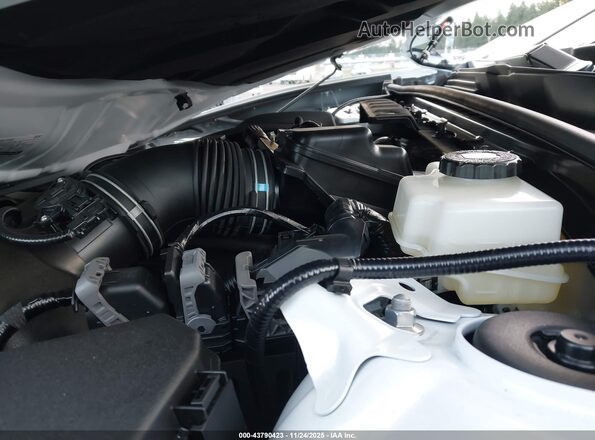 JTDAFAAF1T3014472 2026 TOYOTA CROWN White Widok z tyłu