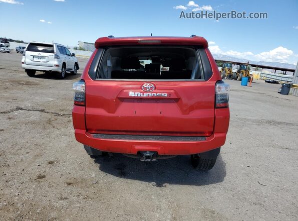 JTEEU5JR8N5255375 2022 TOYOTA 4RUNNER Красный Вид сзади