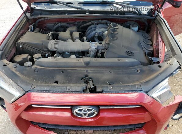 JTEEU5JR8N5255375 2022 TOYOTA 4RUNNER Красный Вид задней части салона
